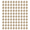 100Pcs Tibetan Style Alloy Pendants PALLOY-GO00037-1