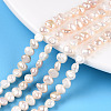 Natural Cultured Freshwater Pearl Beads Strands X-PEAR-N014-04D-01-1