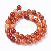 Natural Striped Agate/Banded Agate Beads Strands G-G582-10mm-59-2