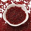 Spray Painted Glass Seed Beads SEED-F005-11A-04-2