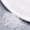 FGB 11/0 Grade A Baking Paint Glass Seed Beads X-SEED-S030-0101-1