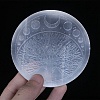 Natural Selenite Charging Plate PW-WG19174-01-1
