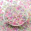 Glass Seed Beads X-SEED-K009-02B-23-2