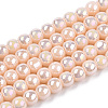 Electroplate Opaque Glass Beads Strands X-GLAA-T032-P4mm-AB09-1