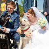 PU Leather Pet Collar Wedding Ring Bearer Pouches AJEW-WH0270-935A-6
