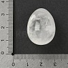 Natural Quartz Crystal Egg Shape Display Decorations G-Z094-01H-3