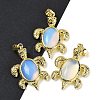 Opalite & Brass Pendants KK-F887-01G-03-1
