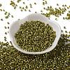Baking Paint Glass Seed Beads SEED-S042-15A-16-2