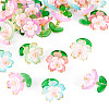 30Pcs 5 Colors Transparent Acrylic Pendants PALLOY-TA00303-3