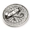 Eye of Ra Alloy & Plastic Brooch Pin JEWB-Z031-07AS-3
