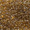 Glass Seed Beads SEED-K009-10B-02-3