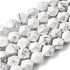 Natural Howlite Beads Strands G-Z119-A43-02-3