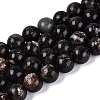 Natural Biotite Beads Strands G-Q616-01E-2