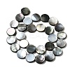 Natural Black Lip Shell Beads Strands BSHE-D300-05-14mm-2