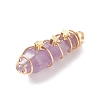 Natural Amethyst Pointed Pendants PALLOY-JF01703-01-3