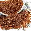 12/0 Glass Seed Beads SEED-A005-2mm-22C-1