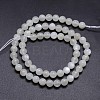 Natural White Moonstone Round Bead Strands G-M262-6mm-04-2