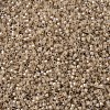 MIYUKI Delica Beads SEED-MY11-DB1731-3