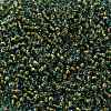 TOHO 8/0 Round Beads SEED-XTR08-1014-2