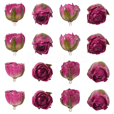 10Pcs Preserved Rose Pendants KY-TA0001-59B-1