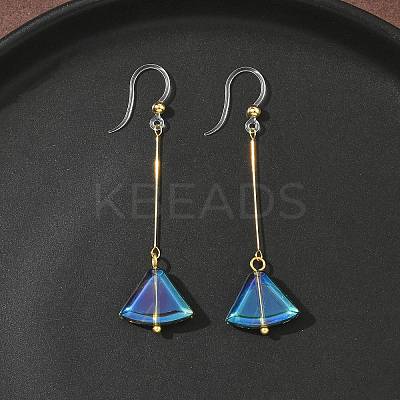 Electroplated 304 Stainless Steel Resin Fan Dangle Earrings EJEW-Z129-11G-03-1