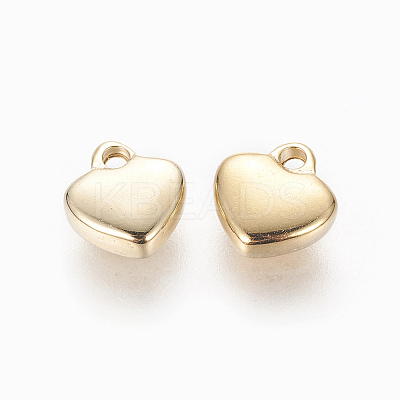 304 Stainless Steel Charms LS-STAS-L233-024G-1