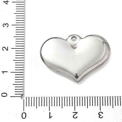304 Stainless Steel Pendants STAS-G361-06P-1