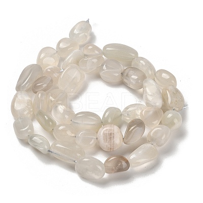 Natural White Moonstone Beads Strands G-P497-01E-69C-1