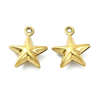 Ion Plating(IP) 304 Stainless Steel Charms STAS-L024-012G-1
