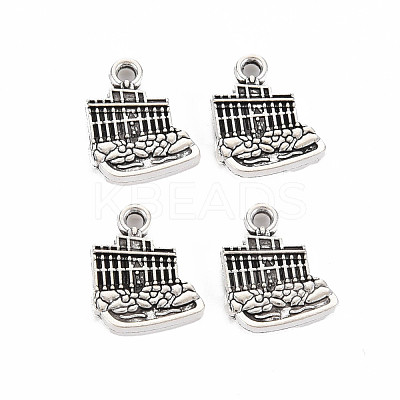 Tibetan Style Alloy Charms TIBEP-N011-016-1