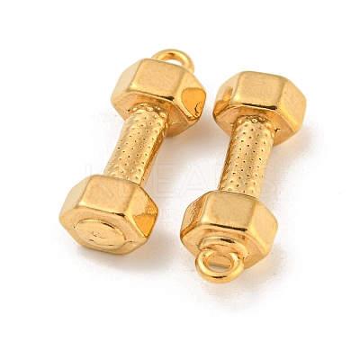 Ion Plating(IP) 304 Stainless Steel Pendants STAS-N103-79G-1
