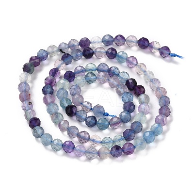 Natural Fluorite Beads Strands X-G-K315-B01-1