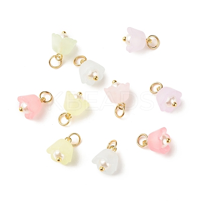 Transparent Acrylic Charms PALLOY-JF01604-01-1