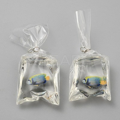 Transparent Resin Big Pendants RESI-TAC0024-01G-1