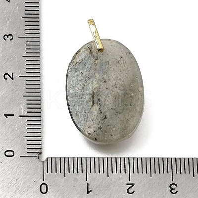 Natural Labradorite Pendants GG-CBA7610-06G-03-1