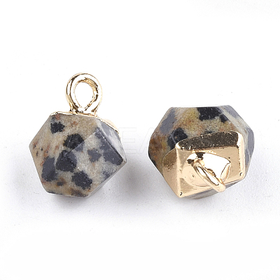 Electroplate Natural Dalmatian Jasper Charms X-G-S344-08D-1