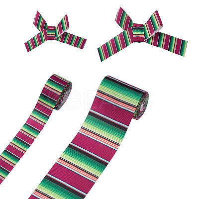 2Rolls 2 Styles Stripe Pattern Printed Polyester Grosgrain Ribbon OCOR-TA0001-37M-1