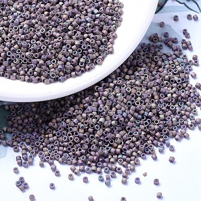 MIYUKI Delica Beads X-SEED-J020-DB1067-1