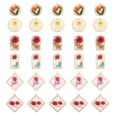 12Pcs 6 Styles Transparent Clear Epoxy Resin Pendants RESI-FS0001-88A-1