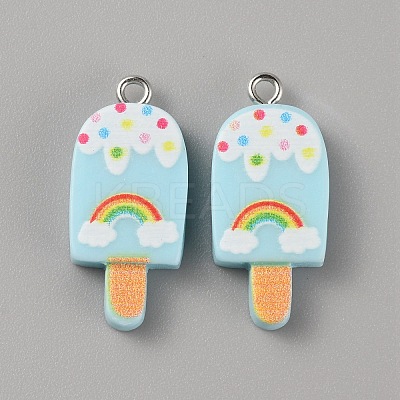 Resin Imitation Food Pendants RESI-TAC0010-88-1