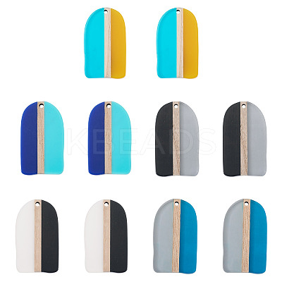 10Pcs 5 Colors Resin & Wood Pendants RESI-TA0004-53-1
