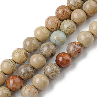 Natural Aqua Terra Jasper Beads Strands G-E444-14B-12mm-1
