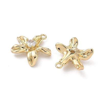 Brass Micro Pave Cubic Zirconia Pendants LS-KK-L260-10G-1
