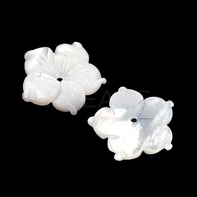 Natural White Shell Carved Beads SSHEL-I026-12E-06-1