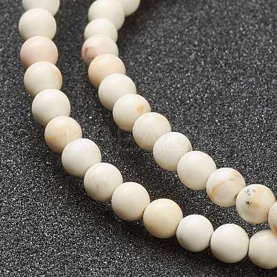Nrtutal Magnesite Beads Strands G-L575-01A-1