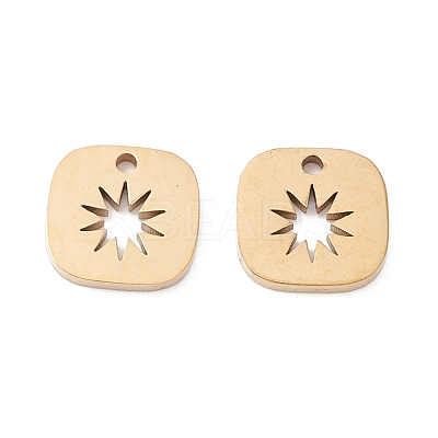 Ion Plating(IP) 316 Surgical Stainless Steel Charms STAS-H163-20G-1