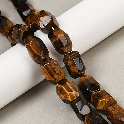 Natural Tiger Eye Beads Strands G-F796-C09-01-1
