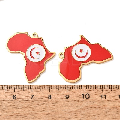 304 Stainless Steel & Enamel Pendants SA-CBA6ECE-01G-G05-1