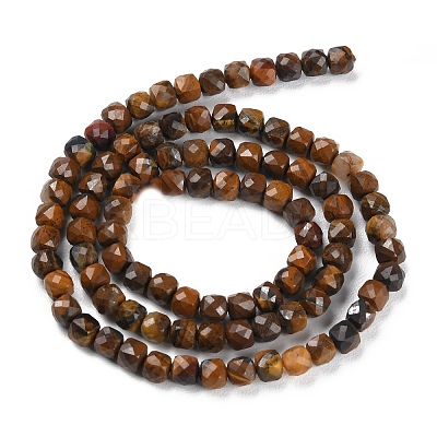 Natural Tiger Eye Beads Strands G-P500-02A-02-1