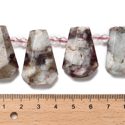Natural Plum Blossom Tourmaline Beads Strands G-H078-A01-02-1